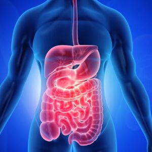 Clinical research in gastroenterology encompasses a wide range of studies focused on the diagnosis, treatment, and prevention of gastrointestinal (GI) disorders and diseases.