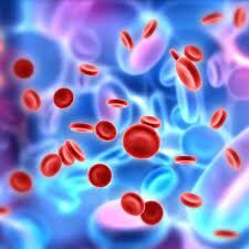 Clinical research in hematology encompasses studies focused on the diagnosis, treatment, and prevention of blood disorders, including various types of anemia, bleeding disorders, clotting disorders, and hematologic malignancies such as leukemia, lymphoma, and multiple myeloma.