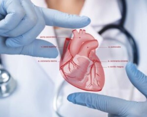 Clinical trials are conducted to test the safety and efficacy of new medications, medical devices, and treatment strategies for various cardiovascular conditions. This includes trials for coronary artery disease (CAD), heart failure, arrhythmias, valvular heart disease, hypertension, and peripheral artery disease
