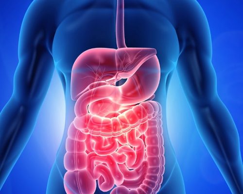 Clinical research in gastroenterology encompasses a wide range of studies focused on the diagnosis, treatment, and prevention of gastrointestinal (GI) disorders and diseases.